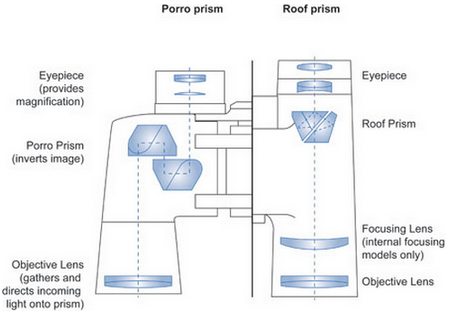 Prism-binoculars for hunting