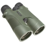 Best Binoculars for Birding