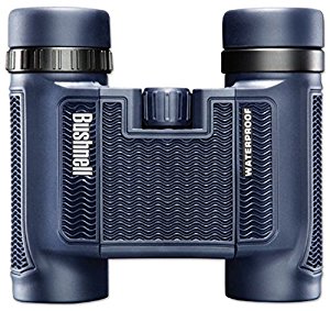 Best hunting binoculars for the money