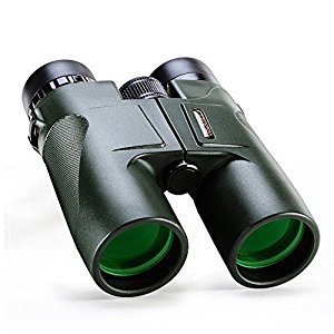 Best compact binoculars for hunting