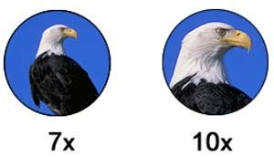 hunting binoculars - magnification